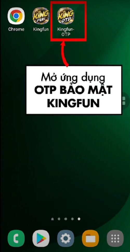 Tai Kingfun OTP-6